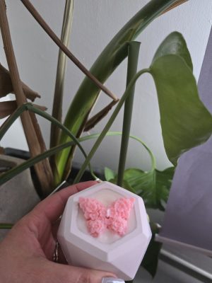 Εξάγωνο γεμιστό βάζο με πεταλούδα – Μπομπονιέρα